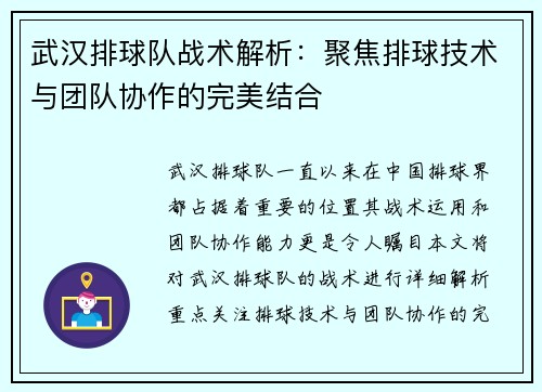 武汉排球队战术解析：聚焦排球技术与团队协作的完美结合